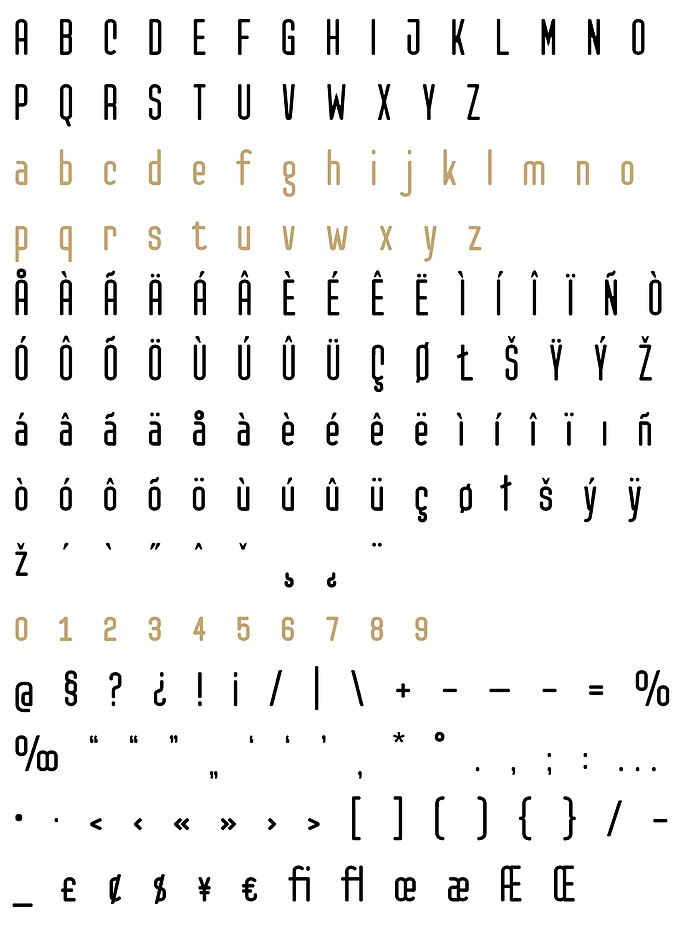 Example font Checkpoint #3